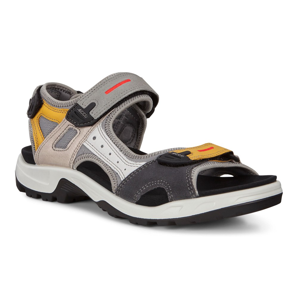 Sandalias Hombre - ECCO Anniversary Yucatan - Multicolor - ZYS632187